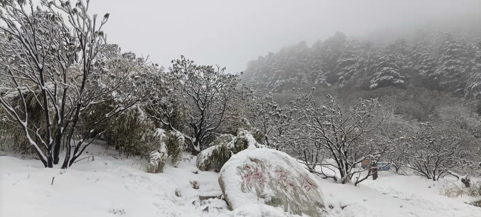 sVLwpkthCou-fZJm9i5QJVmu4r85vbiJMolNAGH5lrmZjF0b1Cn0r2nltgDopuom