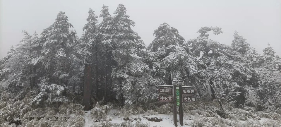 sVLwpkthCou-fZJm9i5QJfbEKX-uFMleUMo9xtW4gfiT_SD09deBTjCFsftL9XHF