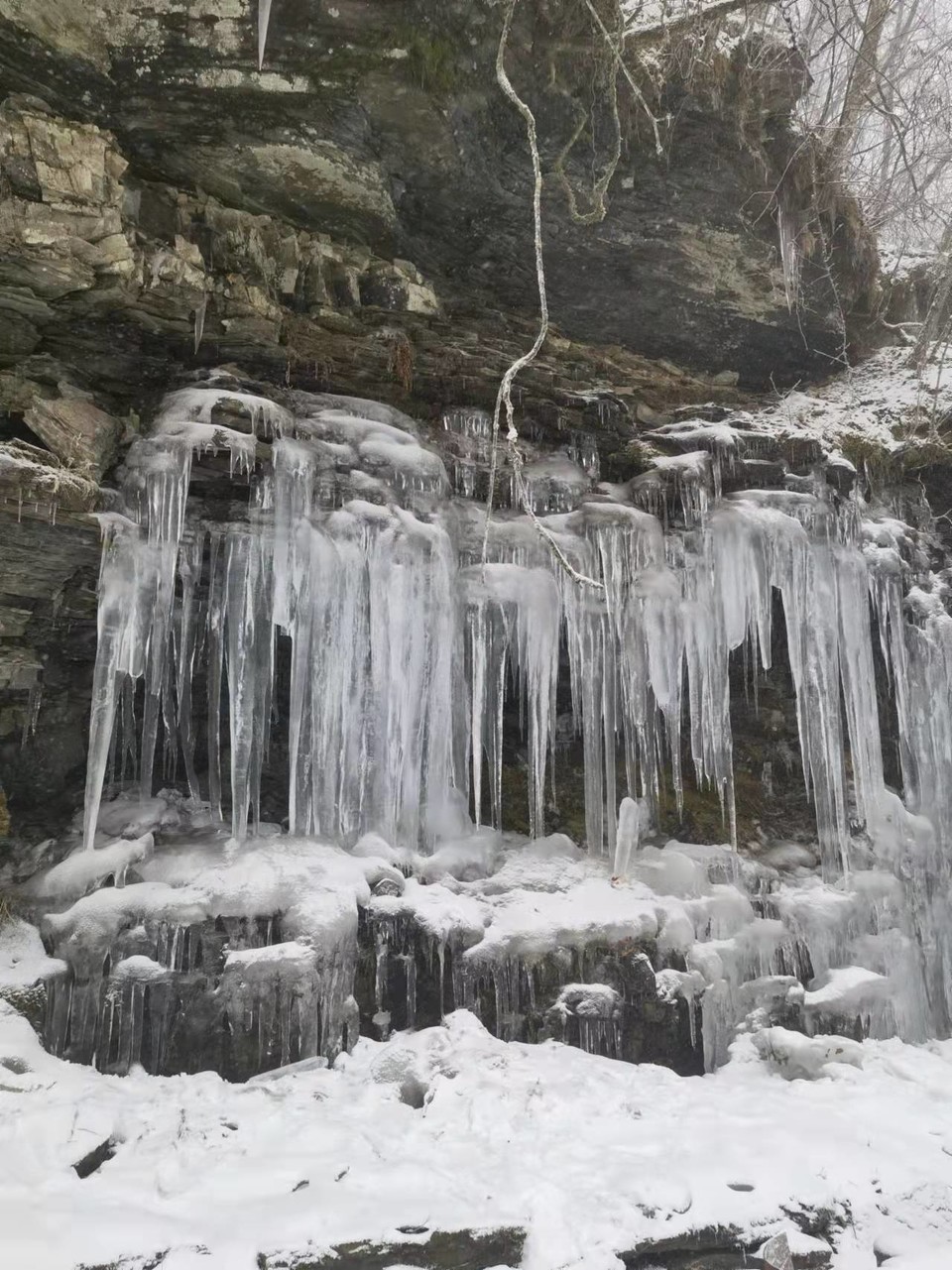 sVLwpkthCou-fZJm9i5QJfIptDAz-SB3Zciwt-zQFBQ4UrLsrCSSvUMpIjwDb8wV