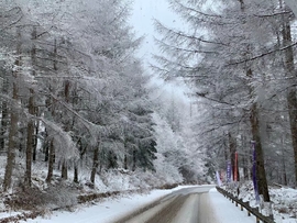 WMGrGQPC0H4nFwHB5UdNi_yZekoNHrPgGA6--VCv6Xn9sx8orCDrlg9Kyv6pc6KZ