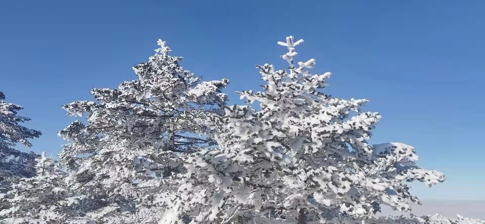 WMGrGQPC0H4nFwHB5UdNi_0zJKyuICGkeQG30J7ST10EdEg4rDAhDGVirj4gp1fO