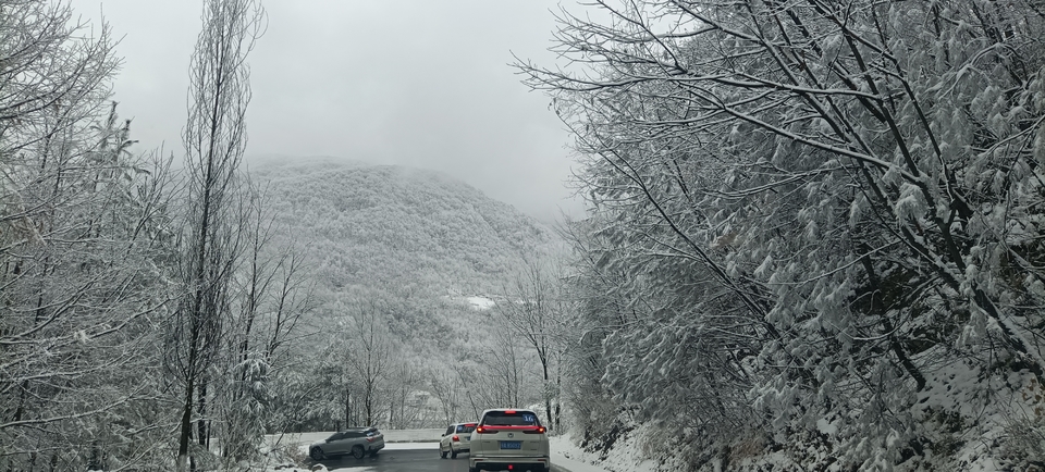 b7ULHs04s_IiRAbhR2Ao9KqK-L9_n2qR0D64IAqNa4q1ThTROiE9oU7rGKtNKCq7