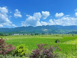 DEp0nLGwSDHmVPyZgL9VF_aOLG5vtD7dClDRuBWXX2Pt8ke1T2jvEu4A_DjAjHb3