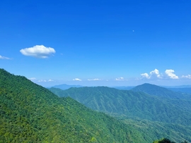 DEp0nLGwSDHmVPyZgL9VF0VA2ylpu705D9t4Dqy_d3MXNW3lxgcP9uhvC9wGuBIX