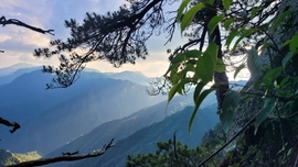 DEp0nLGwSDHmVPyZgL9VF6vSeip1OhDHe4c1eCSpit0dB3RquOLN6z4F_DYb3hWO