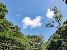 _kUObIh8BKg5R6Q-qivNYrZ1Q6wxE_o6Gl65dA4HdVriyX79PwRjgIYyfE6d7MOE