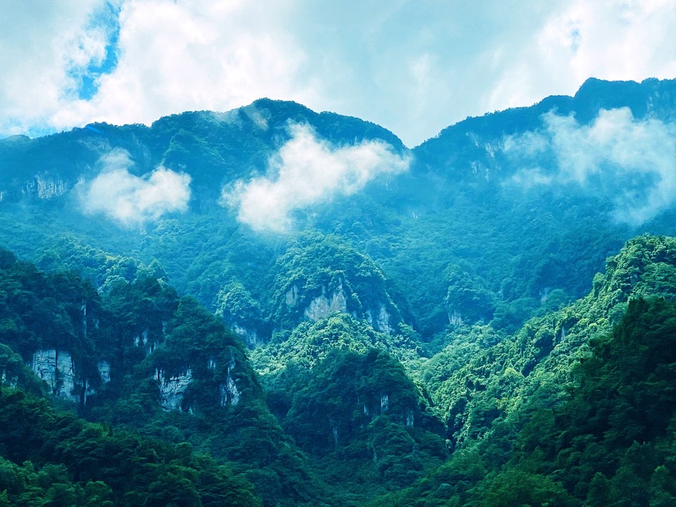 rjjYhmaFfgGstL7mk83FjTn6dc9JlTIeYnGGjqlcY49VeGLw0qQojDlpPCrAKXi0