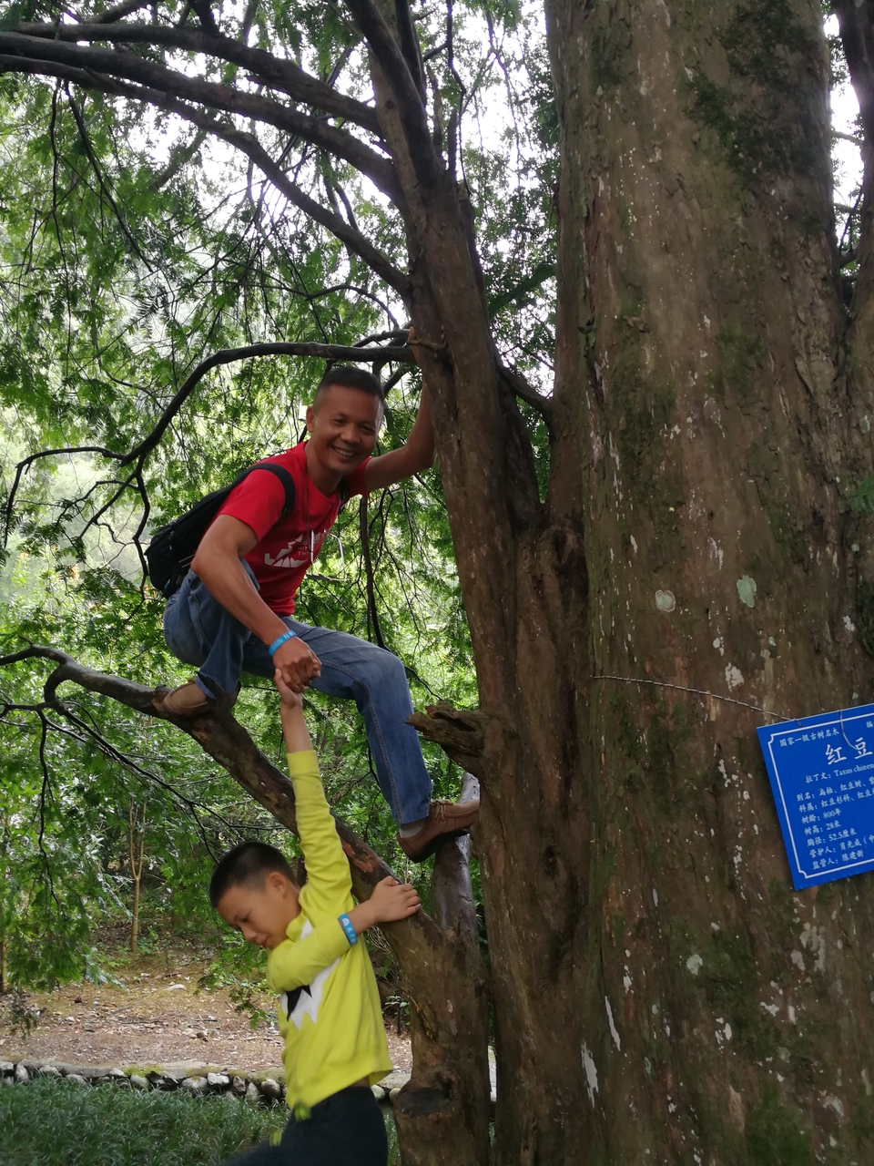 Mir8dbU90Ox7d1m-uOFH1qvH0qrzFnO6n-7-X8l_FuuS01wY2u_ZvkaoEr-HGWHs