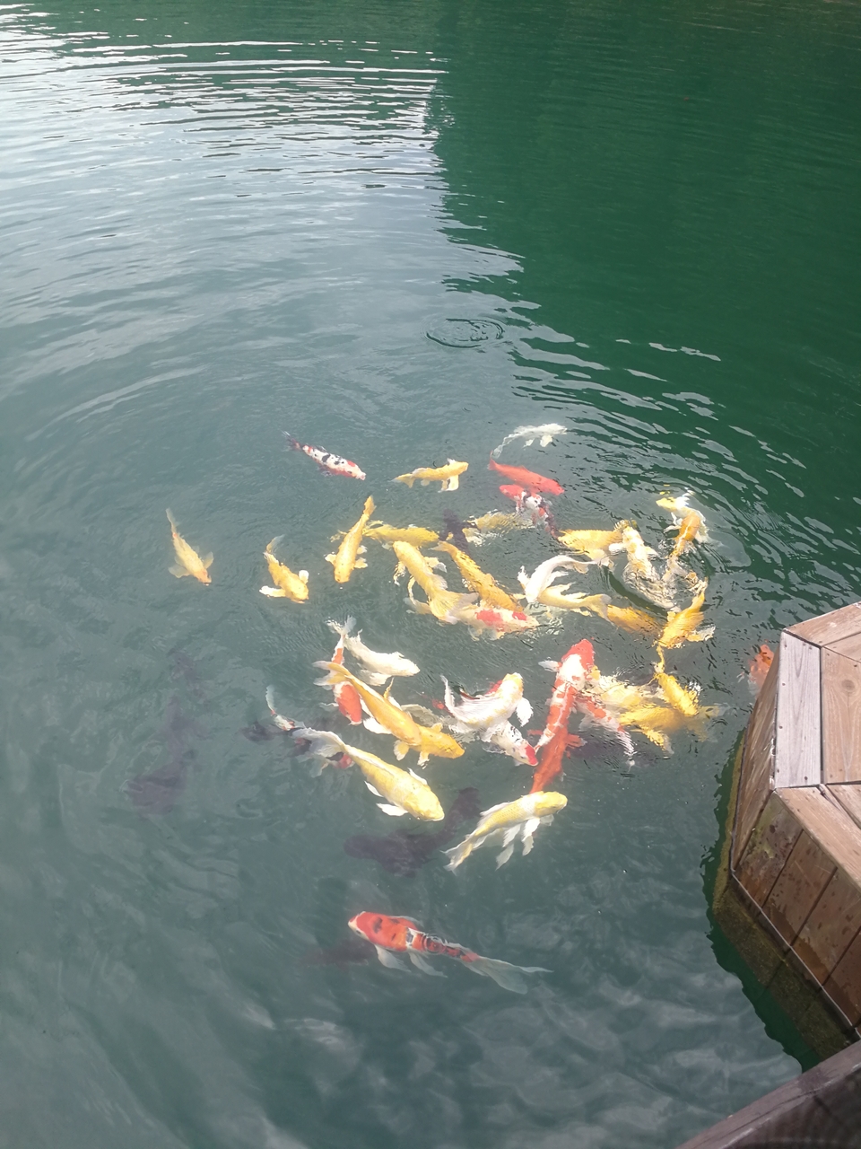 5uVLNs7dyD5n5WfDWBRwUpmhaCG1JGucadtUKExLNq5SnaAwmZd_23eYgXaf2j2M