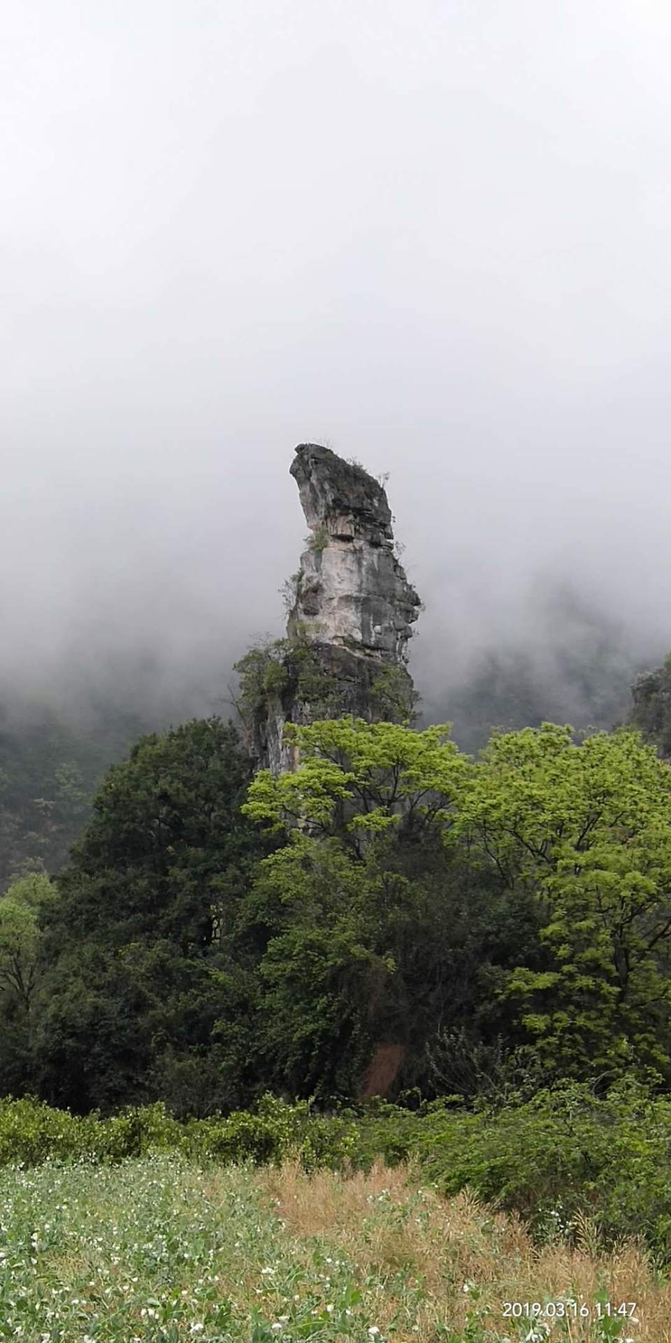 rUaCXqWo92vFcqstjRUV-4zCEGxcLSuP0wjXoo8IuQlvNSJZqN0efFb_tEdtc8ll