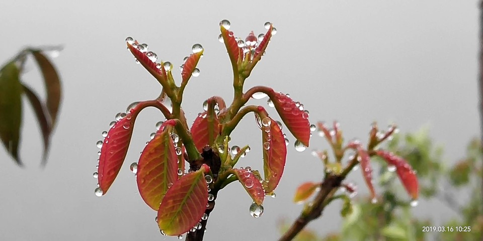 fsx5KyPTvxa5RYxHA3MKaFBJW8OC_4CN6WaeNxsxhIBQYu6TRPKVy1Kbw0943hyK