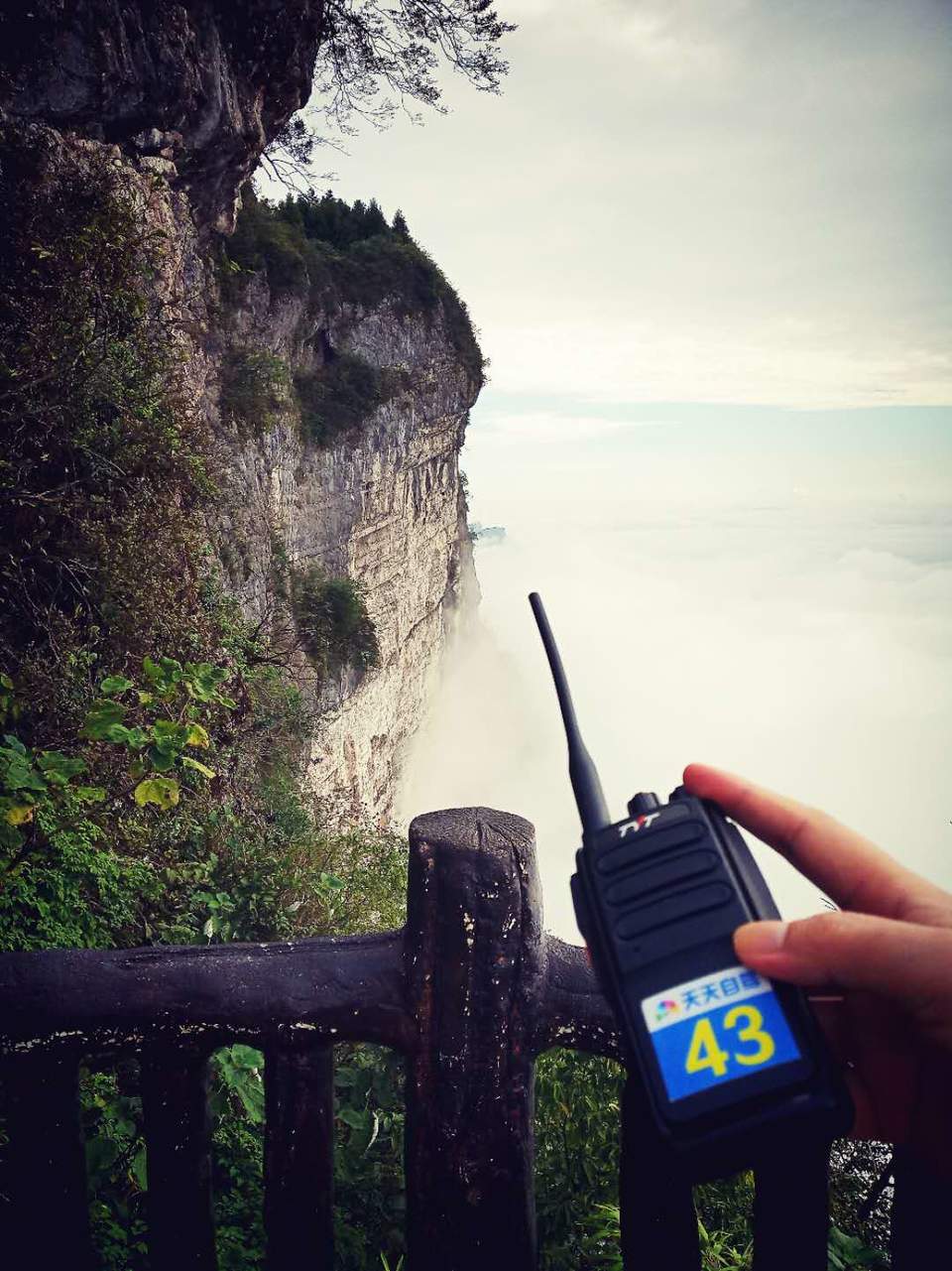 ulojKzlRWBxPJYE4t2BklAUQDtTYSxY-UWkr2pNex8eAu_2lgP7-Iycsc9TWi_ww