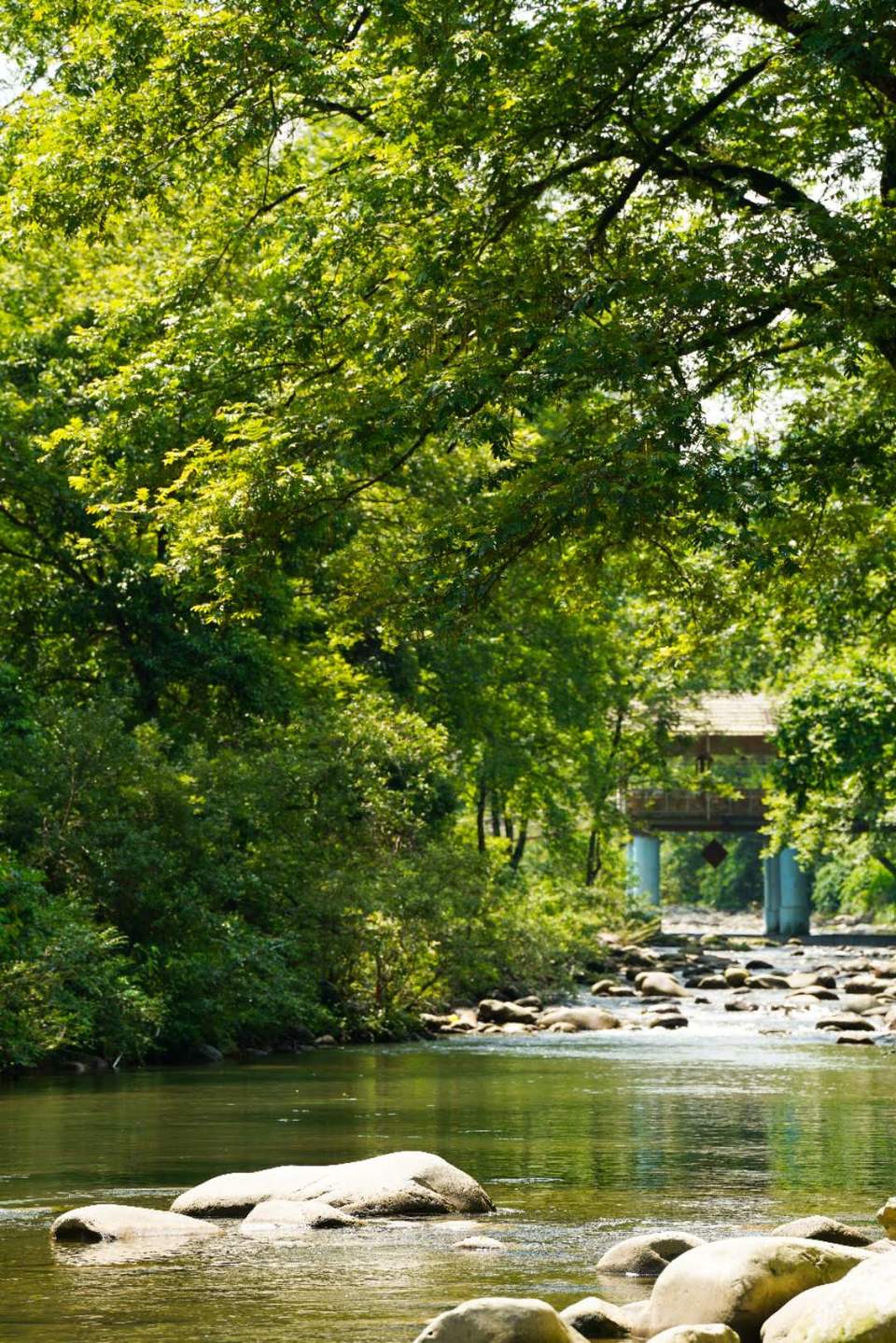 5AYQGvm7XyHLY2wJL_aaDcJ5btt6iRacT5_eFXIkBdHkH3BxqdapGQGRE2KjSo_A