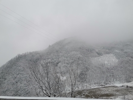 wllmSnGSdtHSxxMx3QDqvy8t8pzFOv2OJCotJDYYNDGDWdAbtwIgYrwxhRteFrsP