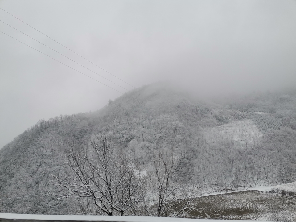 wllmSnGSdtHSxxMx3QDqvy8t8pzFOv2OJCotJDYYNDGDWdAbtwIgYrwxhRteFrsP