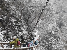 wllmSnGSdtHSxxMx3QDqv8EusidDsJrJpR2WtxeOIxyPJibip17ES-lpX1Wktl6q