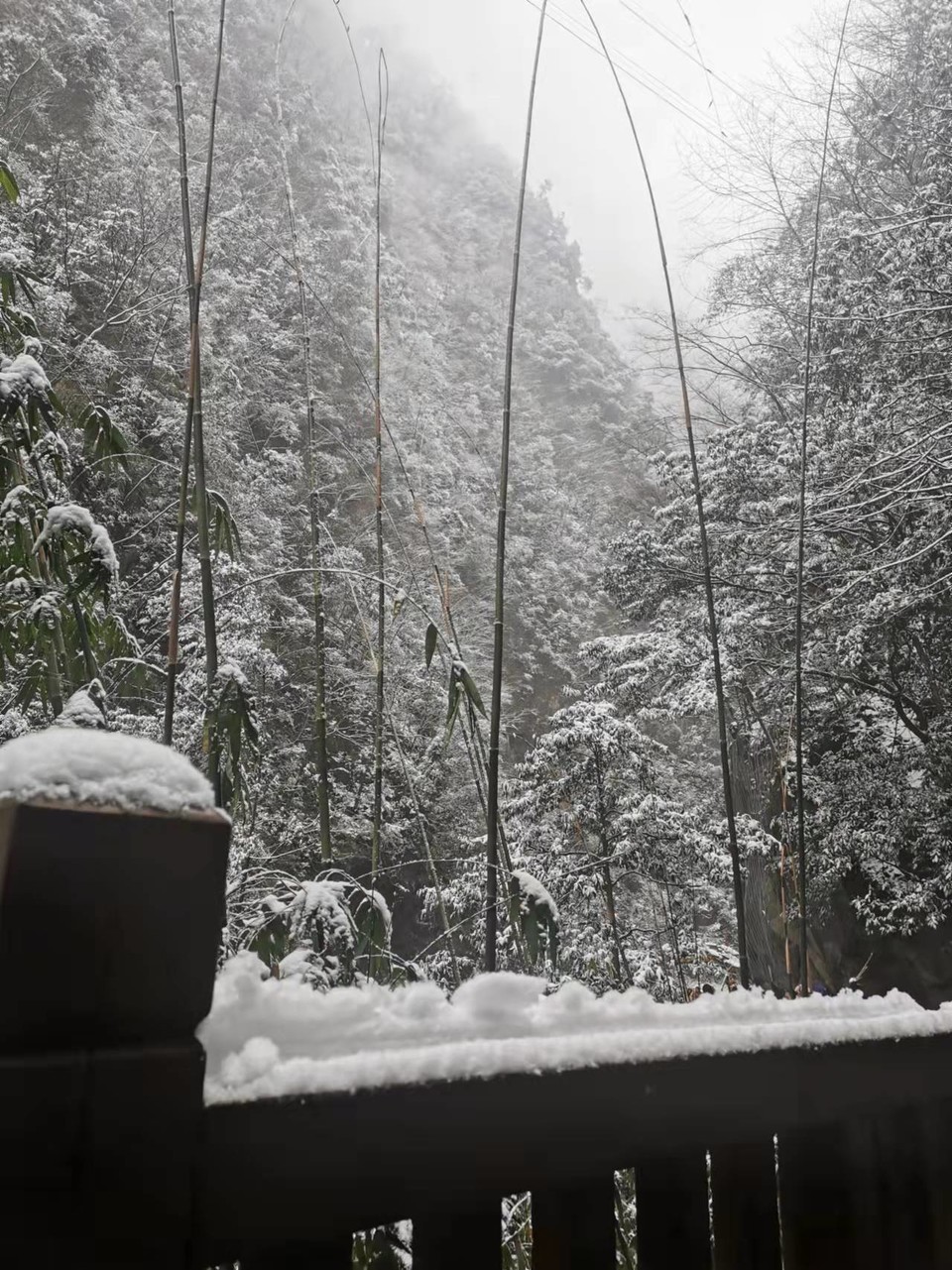 CiTKeFaWQmB9BhaGozxd7Ls85BvWRzkWXtJTR6eg_hL3ffk1wSVxxQAXtYsVbA0e