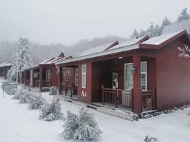 WCN42Y1QVONZHdLdG1U2VilaxqajVoBdVPm9JzcplwsIisDey-d8fCia7TwAIdt1