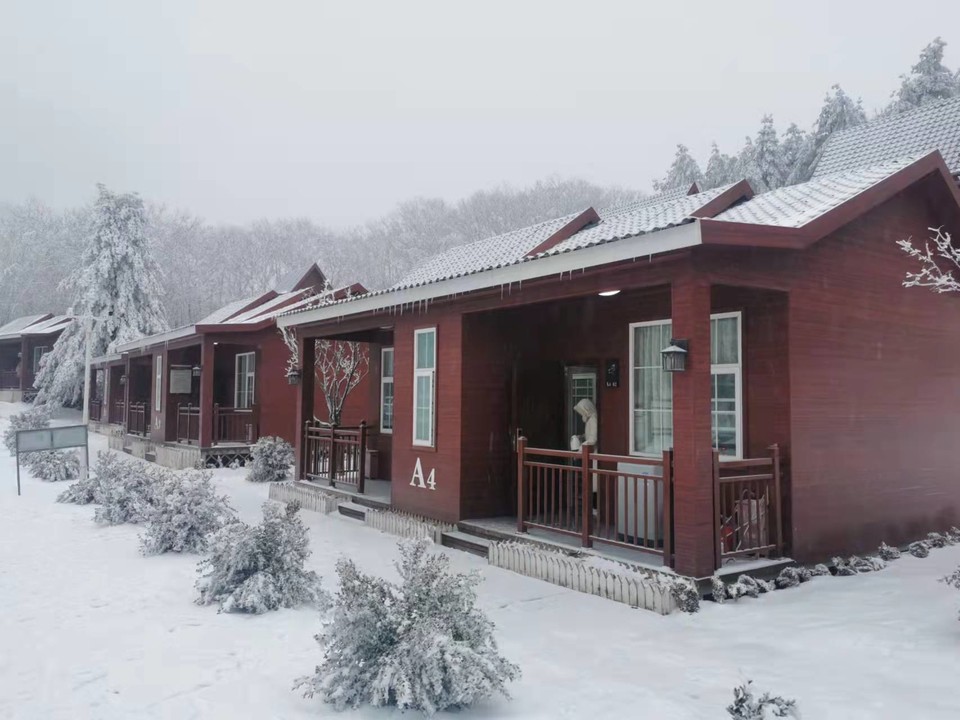 WCN42Y1QVONZHdLdG1U2VilaxqajVoBdVPm9JzcplwsIisDey-d8fCia7TwAIdt1