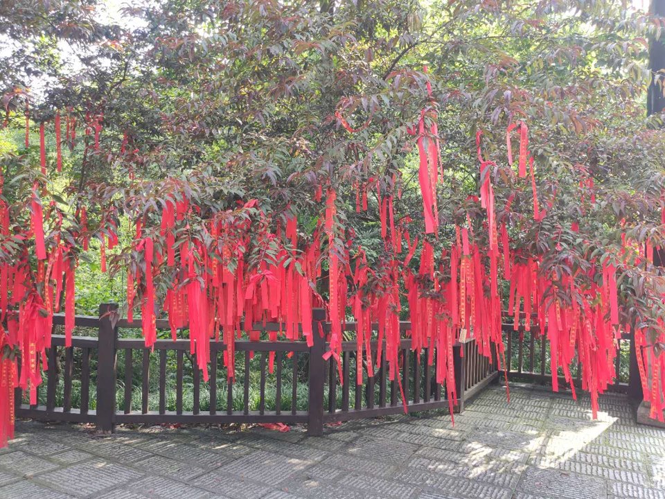 p1VTt99hppt0-k0FwK_BeqCMRyHINpWC5oPZfVDaDvaHtT-L8VTl5RtGKZUy9p6U