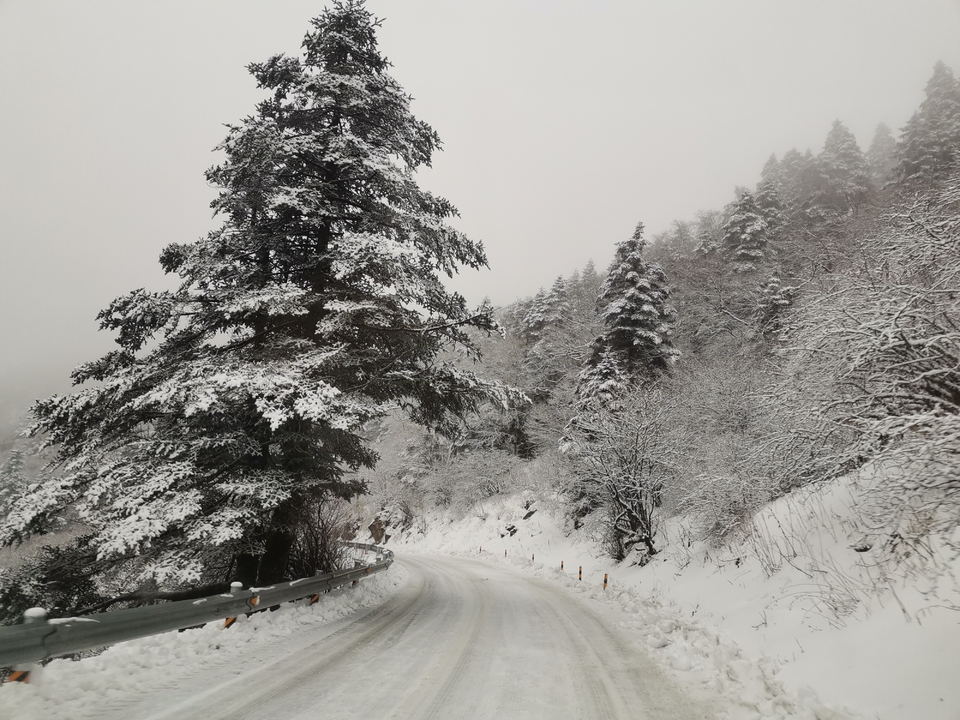 微信图片_20211213141331