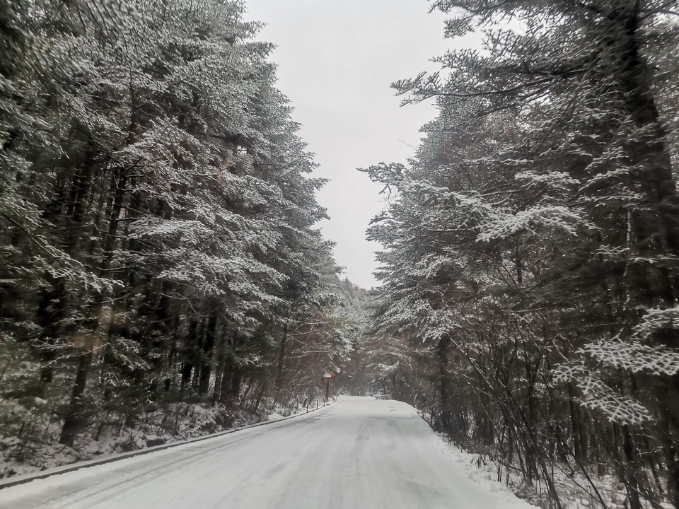 微信图片_20211213141338