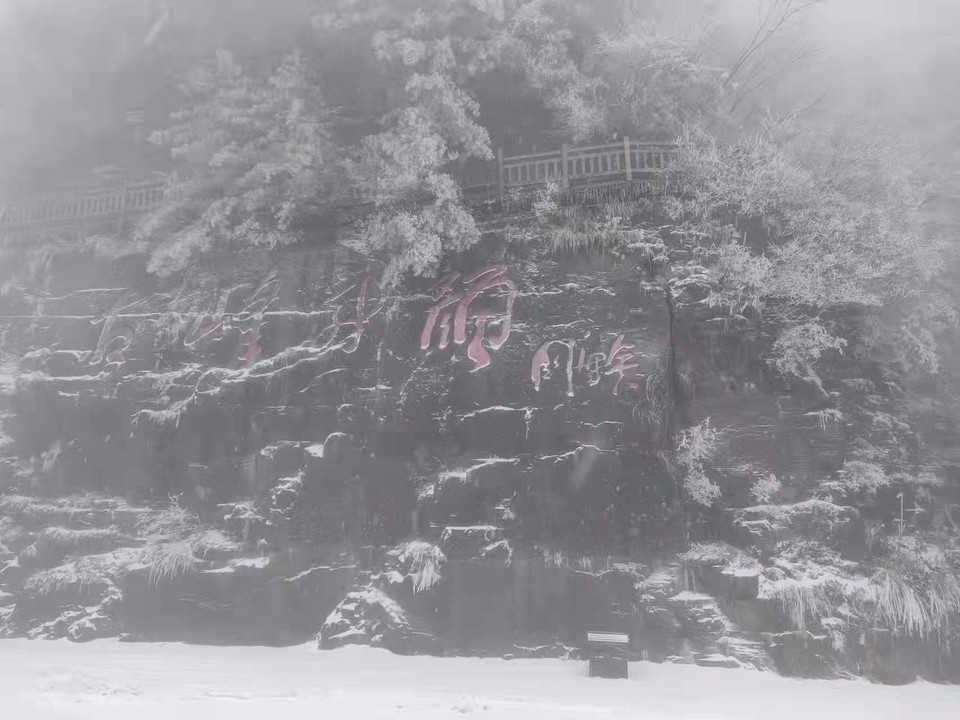 微信图片_20211213153613