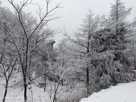 3zrkw3afRZ2m_kxTggSlV8aWX19vX2QaqA7II1G9AWco8_GpfvJhUxZMk4gcDp02