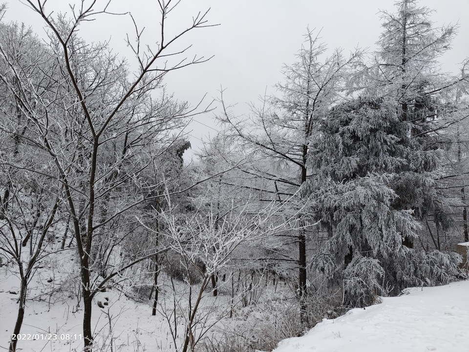 3zrkw3afRZ2m_kxTggSlV8aWX19vX2QaqA7II1G9AWco8_GpfvJhUxZMk4gcDp02