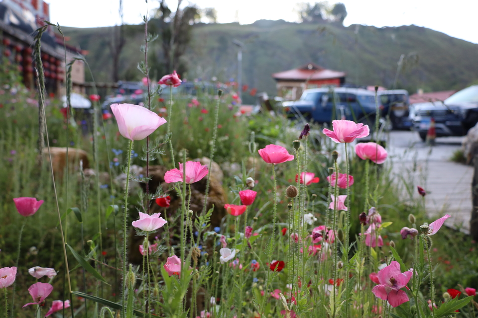 o6xqsqNYNfqtMotQNLJQT6NCmxZkDZLraQew70FppIt5iR2GM5G2a1FtN99Jwz6F