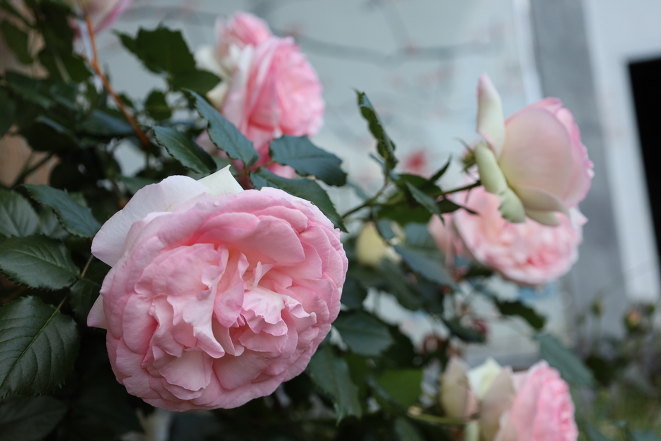 o6xqsqNYNfqtMotQNLJQT7DFjunMKO5ULqnIGKku4hBPDG_BcjeVch2VOKtZGOTx