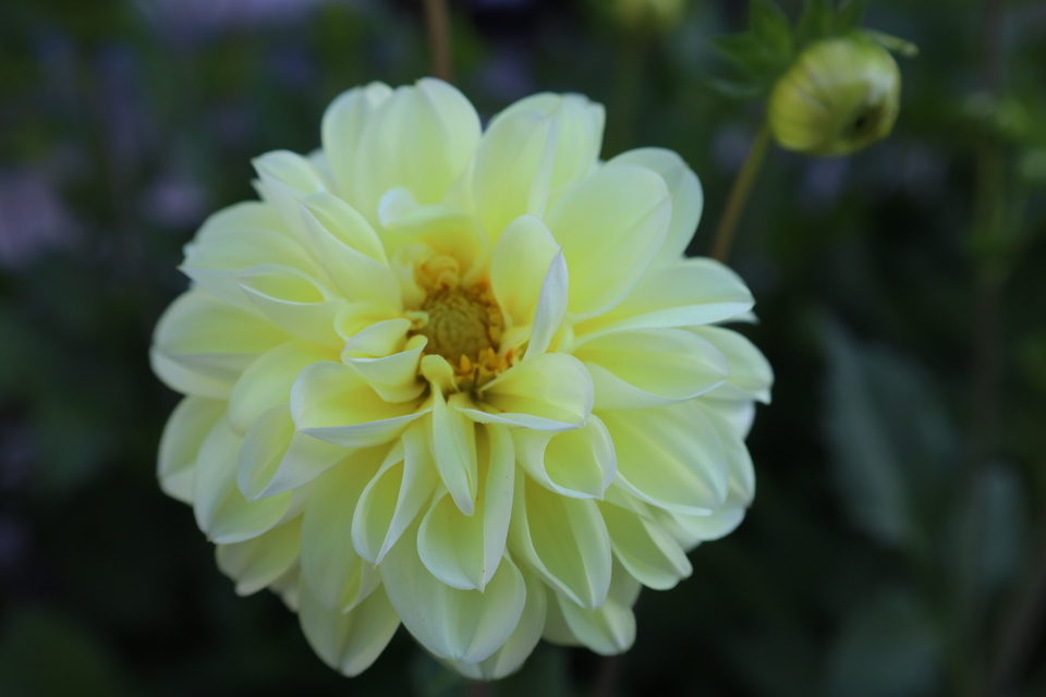 o6xqsqNYNfqtMotQNLJQT2DhavJfbzMSUHFlbdao4pyhyvGwuegWqTxSGV3L-u73