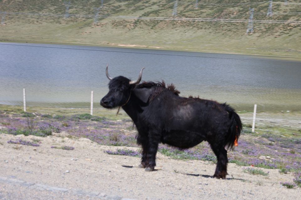 MA1asbl72apOZ8H2Bd7L6uRRTFE_WxwDf20IrWsYOzUsrXy8GC3q-o0Ep0HnfHEi