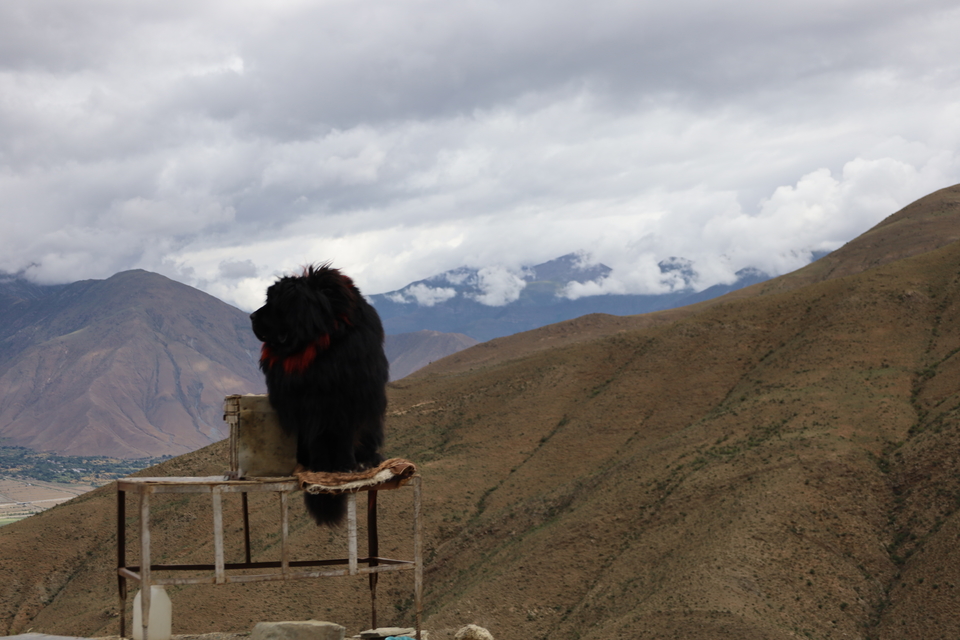 96j8ltT33iU84WXkSJiy8oUCrjj8UvKcwCMYPPG16gUubO0uNDVHWxZIkzKwm_lQ