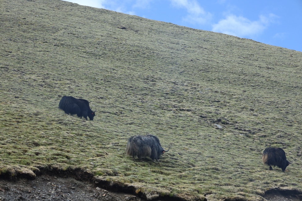 96j8ltT33iU84WXkSJiy8pu0usZbHO_yGQKnVuNp2R_v-YpJ7PzwGvxUzP5y9WoQ