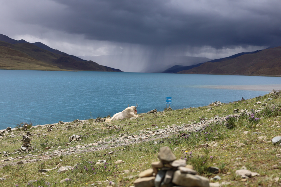 96j8ltT33iU84WXkSJiy8s5L6QNx8EApq8N97r4yKIhjOdZcET5YEFSOzbS_8T8S