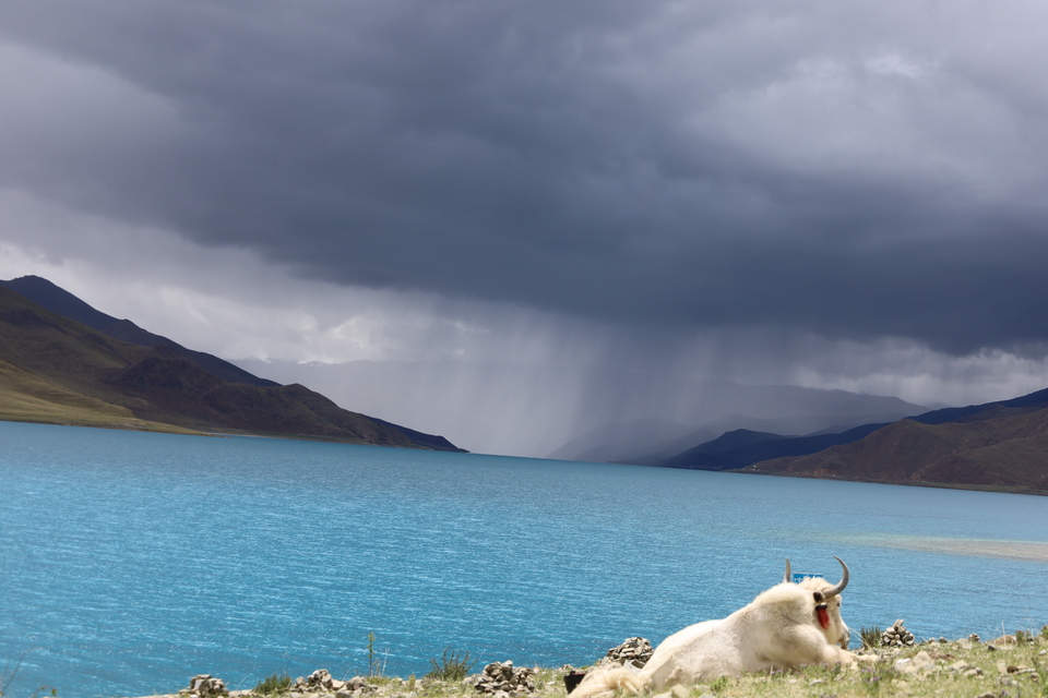 96j8ltT33iU84WXkSJiy8qkQwKh33-9OmoHZ815CoCSBu9SZbIpTg9Uxl65U-11N