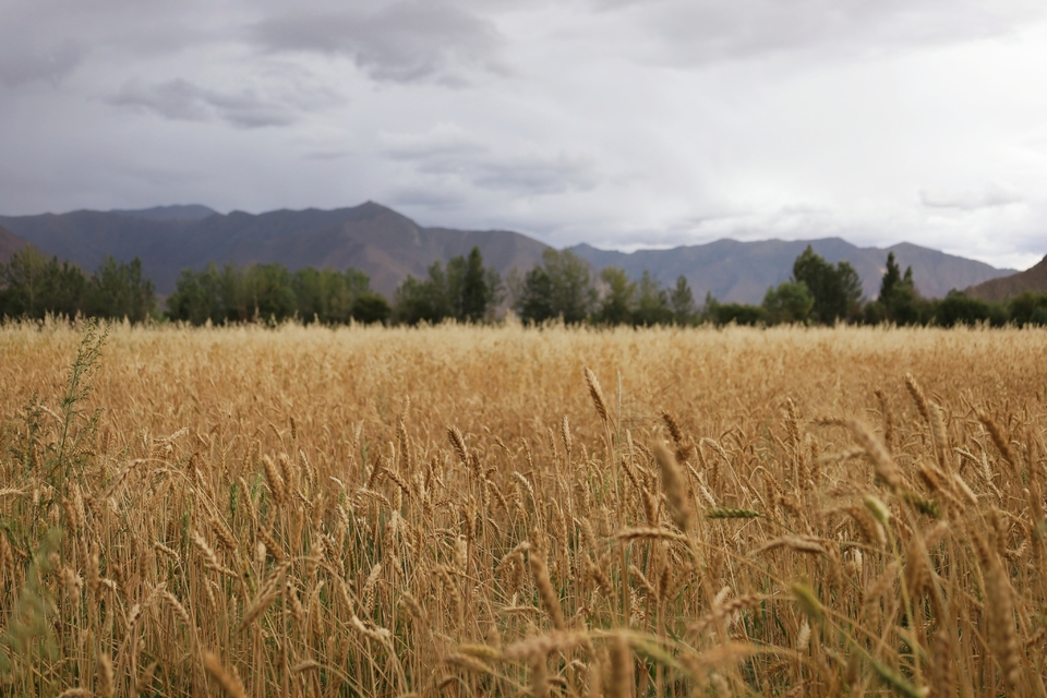 96j8ltT33iU84WXkSJiy8iHLW81X2rm68FN1vjmL0DpaonaKkYSArJfVG7MoP93A