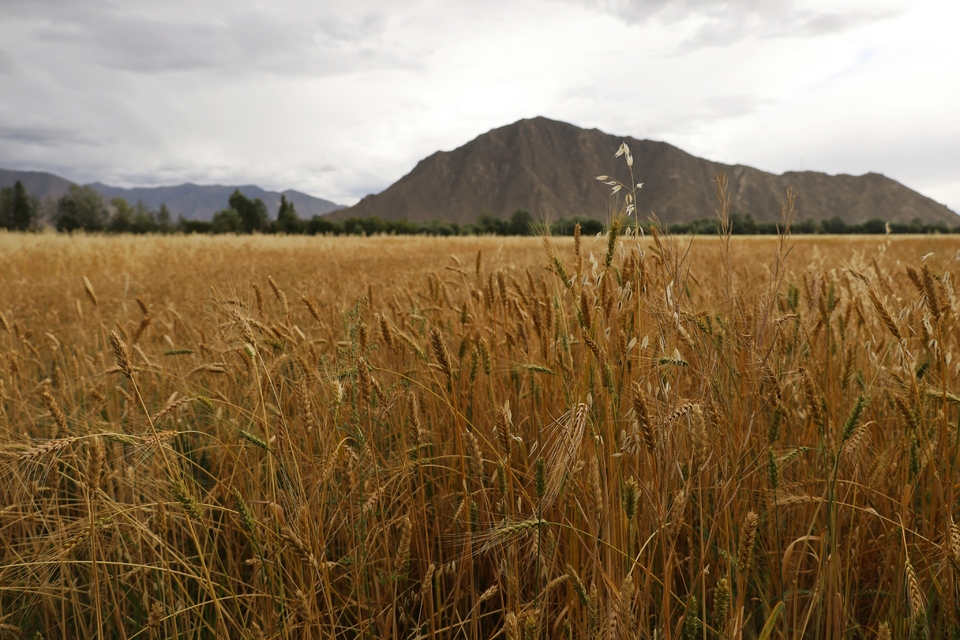 96j8ltT33iU84WXkSJiy8g9eWsX12aJhg5knVV-bP4ios0uvkz_lxL76Mj8K4ZQN