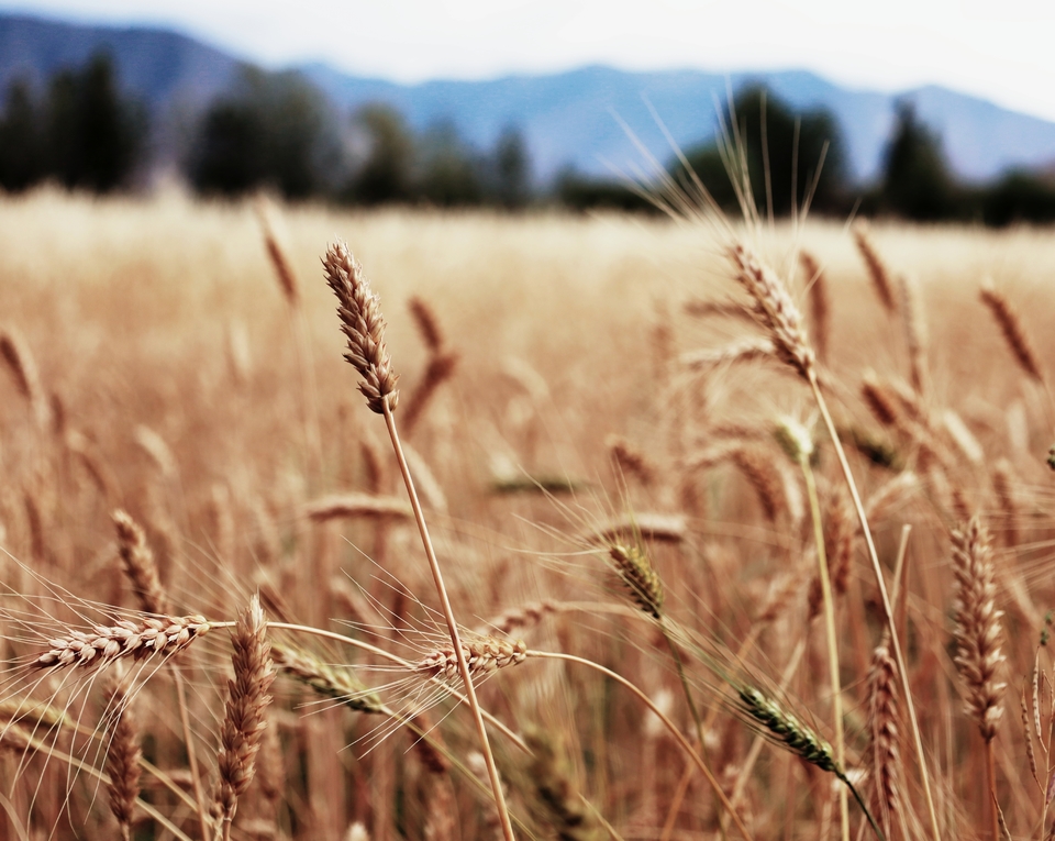 96j8ltT33iU84WXkSJiy8obHA_Y0pkMpFKve8DfEjfHAti6Y85NxRr_f5aAczcQO