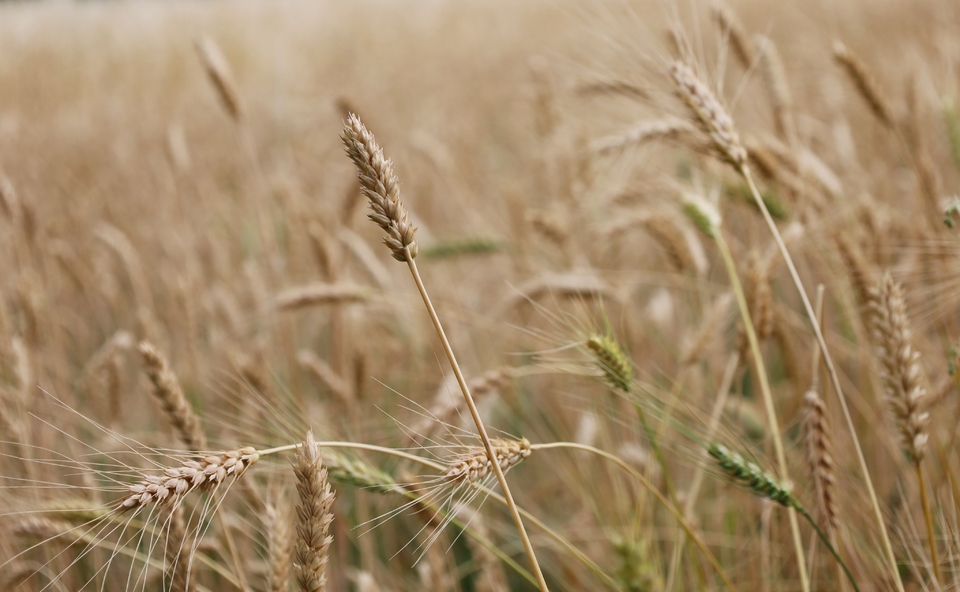 96j8ltT33iU84WXkSJiy8gEa2k9jmBvGPmgyrWnjlSj2C4hb3VJ7QSequdAKY6rk