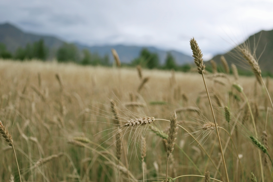 96j8ltT33iU84WXkSJiy8qaG1NNEOpzwTeWmPbIhu_kMbzbl6InCuoHRjFeErKjW