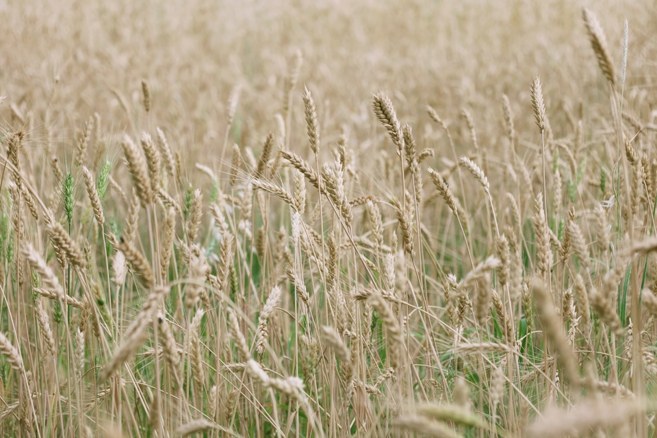 96j8ltT33iU84WXkSJiy8qTTX2TnrF9GQ2VQ_hqHAMrbGWeZRqCLR13D_xvMEiCe