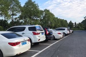 清晨起来，鸟语花香，这里的蓝天白云美