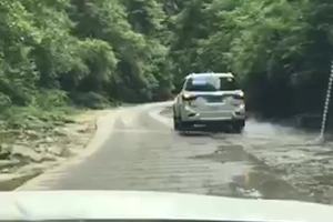 狮子关撒欢