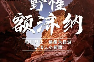【野性额济纳】五晚六天腾格里五湖连穿，  2-8人小团深度游