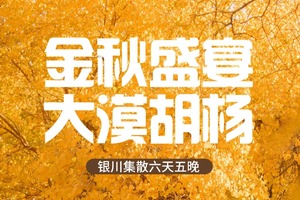 【野性额济纳】五晚六天腾格里五湖连穿，  2-8人小团深度游