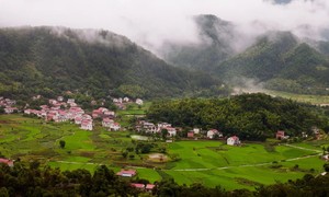 诗画菖蒲 乡村微度假||驾游天仙画廊，邂逅乡村山水——2026岳西天仙河自驾环廊轻奢自驾嘉年华