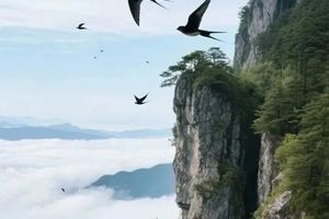 知音湖北 乐享金秋 | 探秘神农·朝圣武当·峡江巡礼 | 神武峡自驾游5日