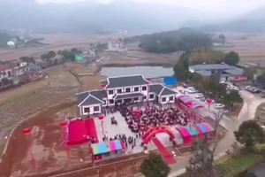 桃花山年猪宴活动